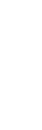 Sticle 2L