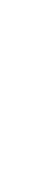 Sticle 2L